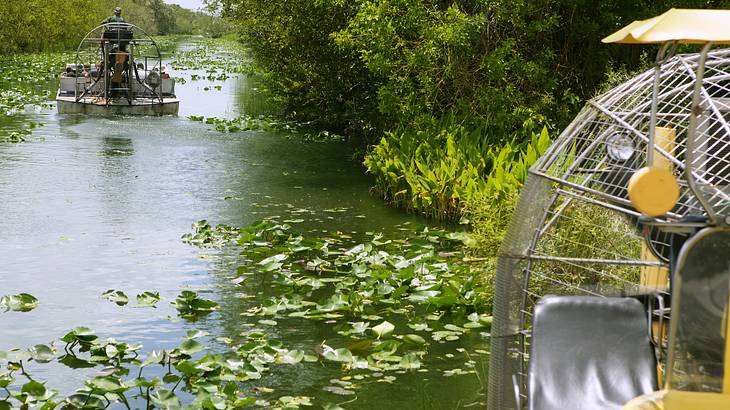 Airboats cruising down a swamp surrounded by lush green plants and trees