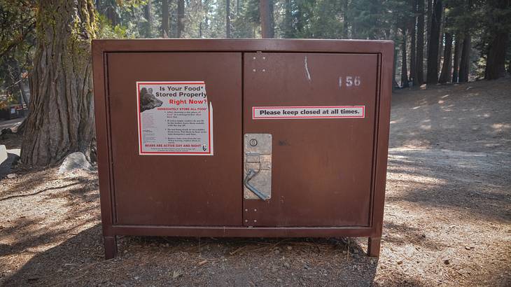 A storage cabinet with a lock in the middle of a forest