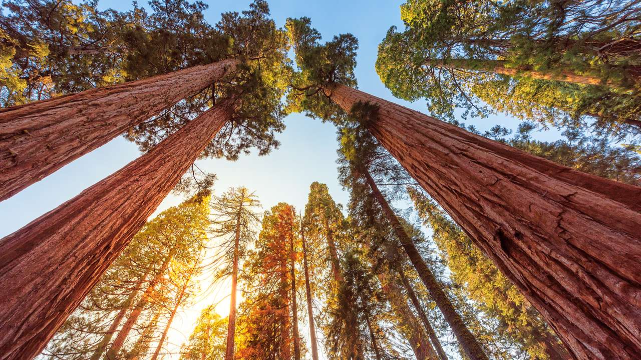 The best time to visit Sequoia National Park is when the sun shines almost every day