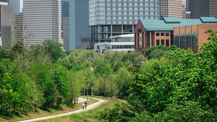 A bikeway surrounded by trees with skyscrapers in the background