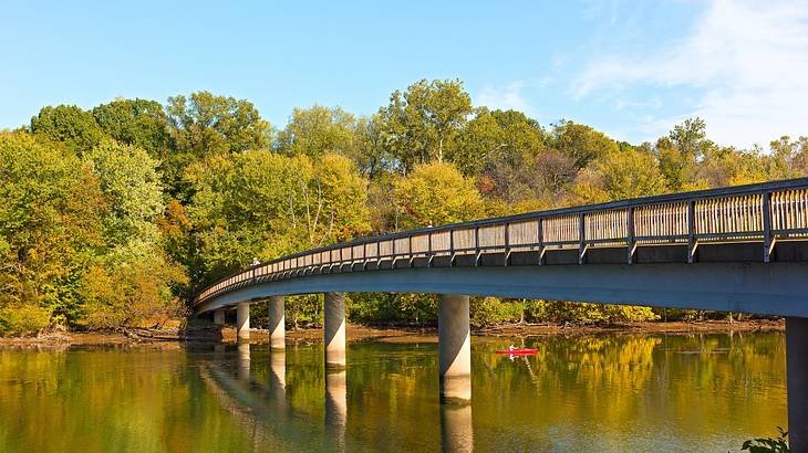 A river with a bridge over it next to trees under a blue sky with some cloud