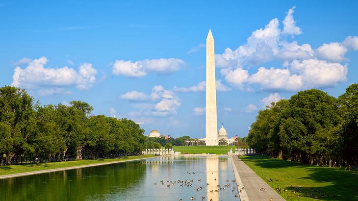 A pool surrounded by grass and trees next to a stone obelisk and a blue sky