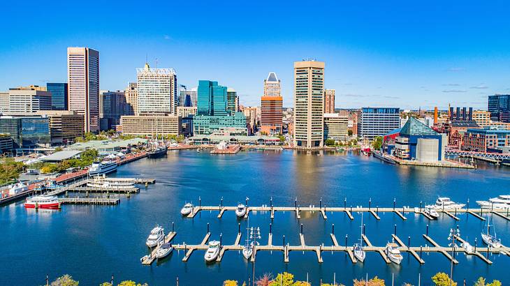 A harbor with boats next to a city skyline under a blue sky