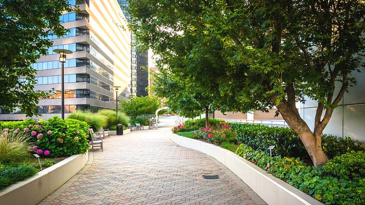 A path through flower beds and trees with a tall building at the end