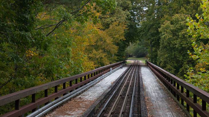 a railroad track surrounded by trees