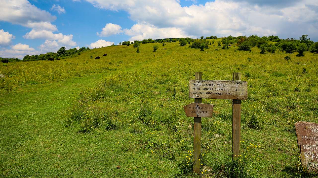 A green lush mountain with a wooden sign