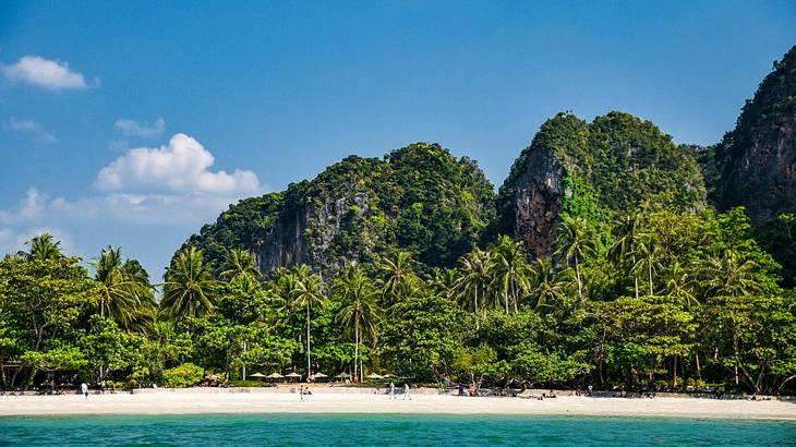 Landscape view of a beach with limestone cliffs and palm trees along its coast