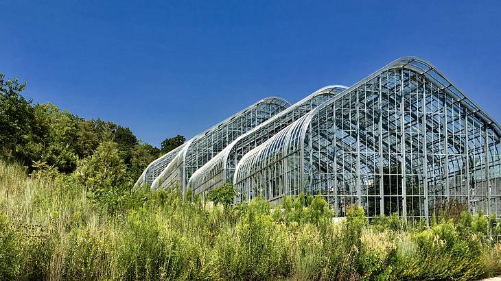 A greenhouse with a triangular shape roof next to greenery and a blue sky