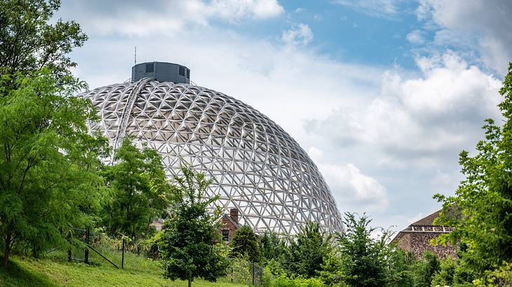 A large glass dome surrounded by plants