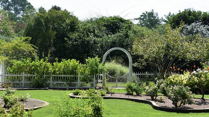 A garden with green grass and lots of green plants and trees