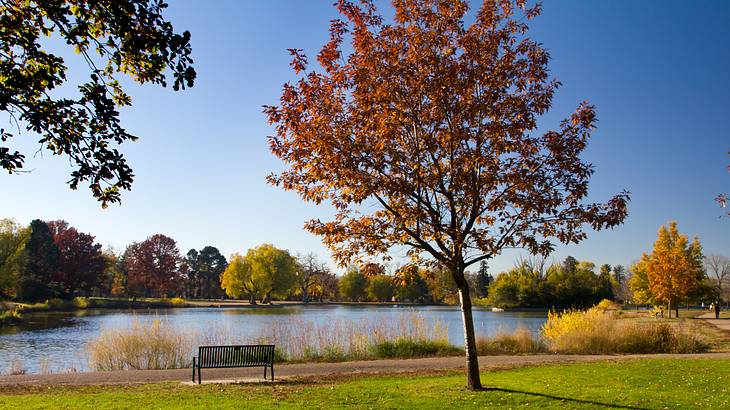 An empty bench in a park by the lake in autumn