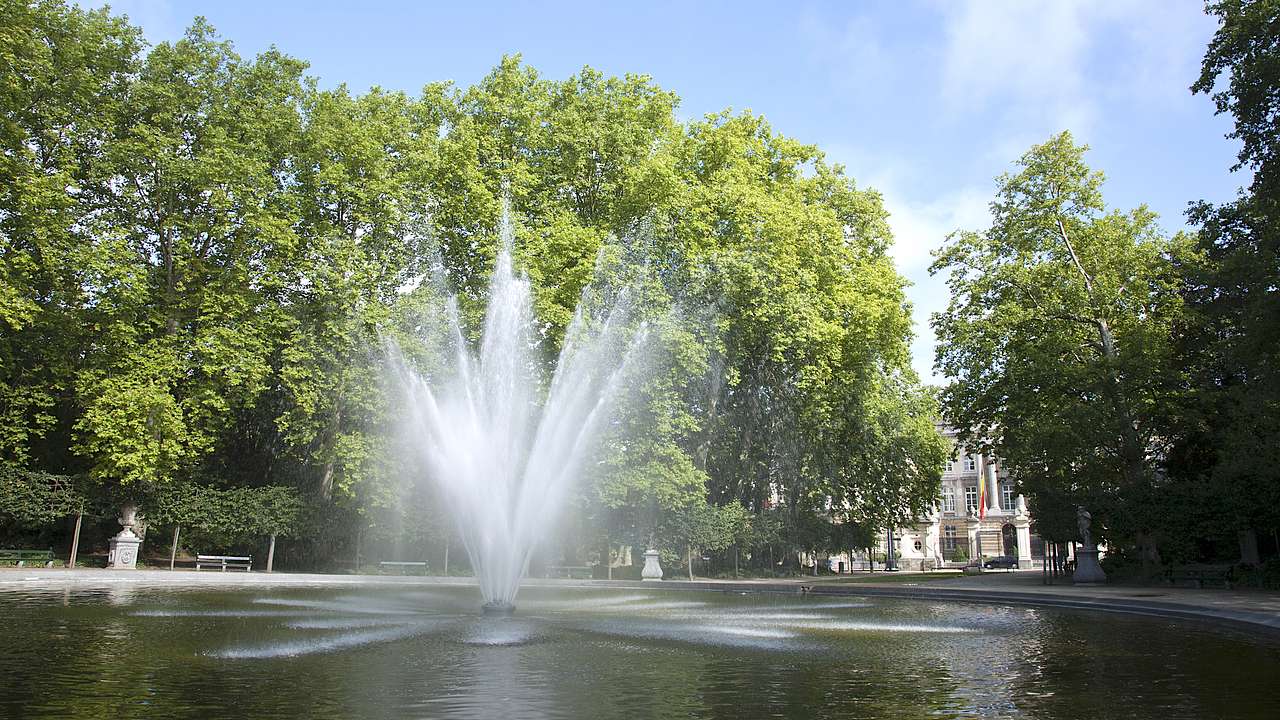A fountain spraying up water with tall green trees behind