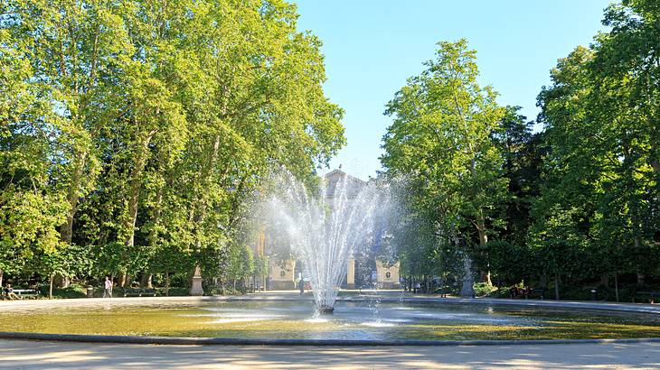 A large fountain spraying water surrounded by green grass and trees