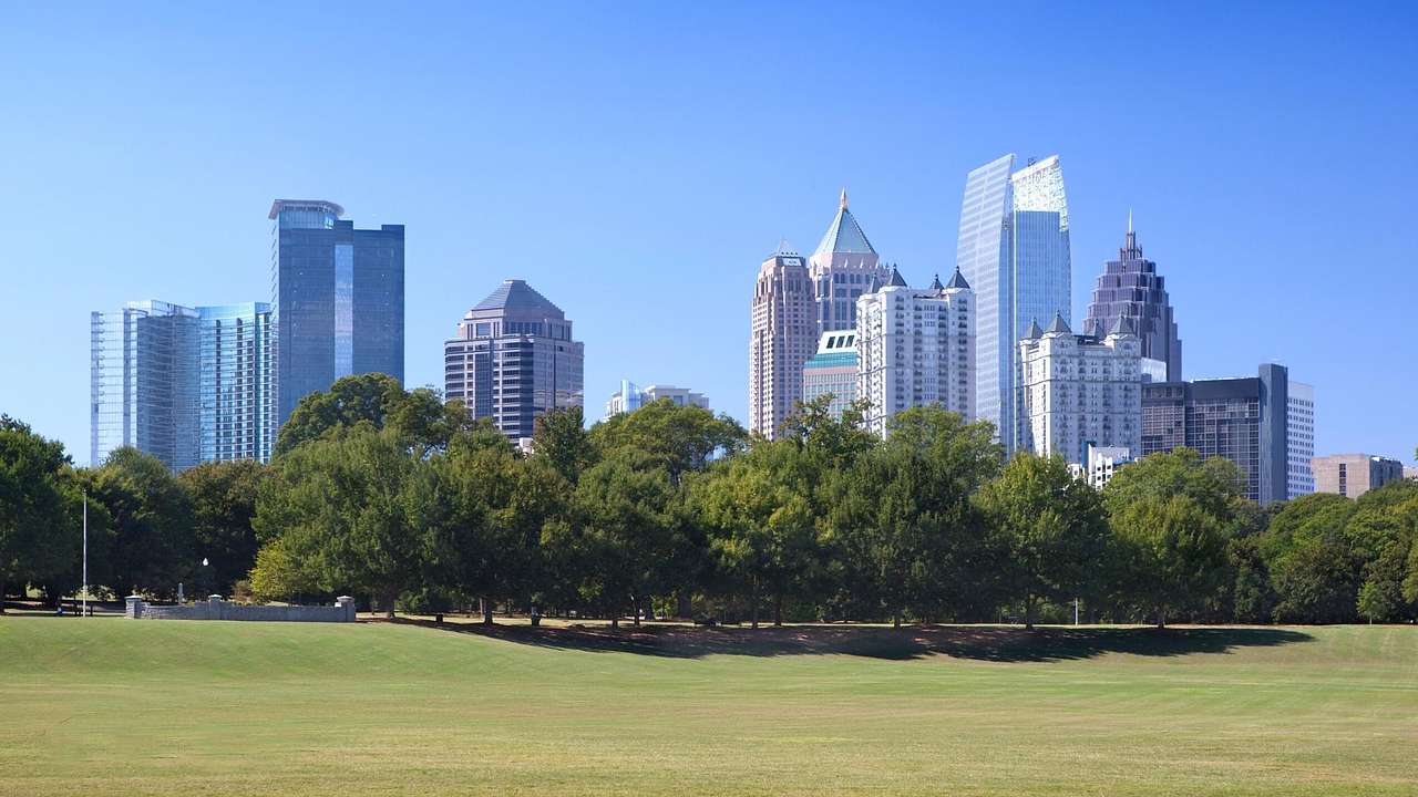 A skyline with skyscrapers behind a park with green trees and grass