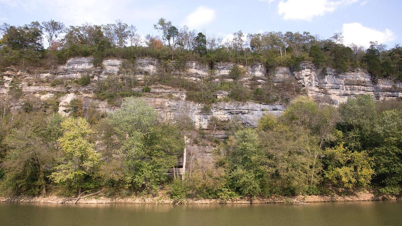 A lake with a cliff face that's covered in greenery behind it