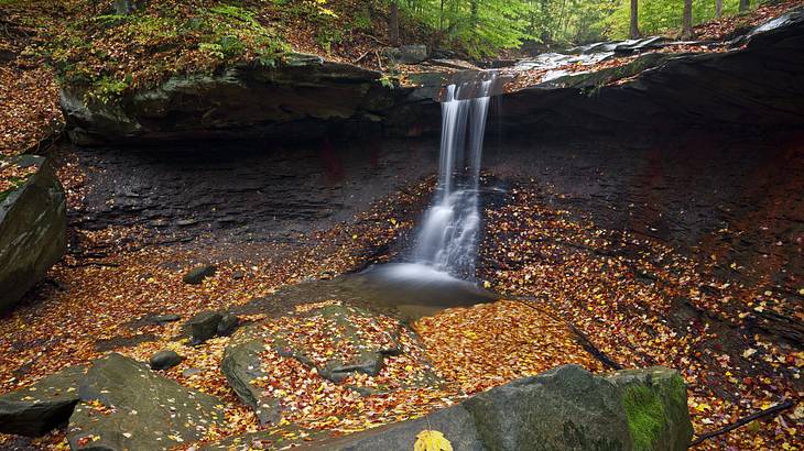A waterfall in the forest surrounded by fallen leaves in the autumn season