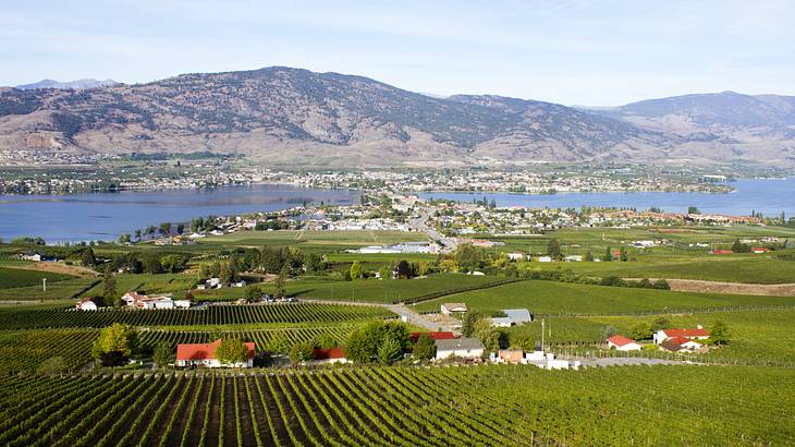 Vineyard wineries overlooking houses and a lake with mountains in the background