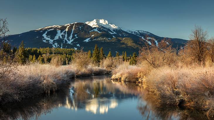 One of the best Vancouver weekend getaways to do is heading to Whistler