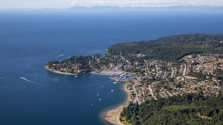 Aerial view of a fishing town, harbor, and greenery surrounded by water