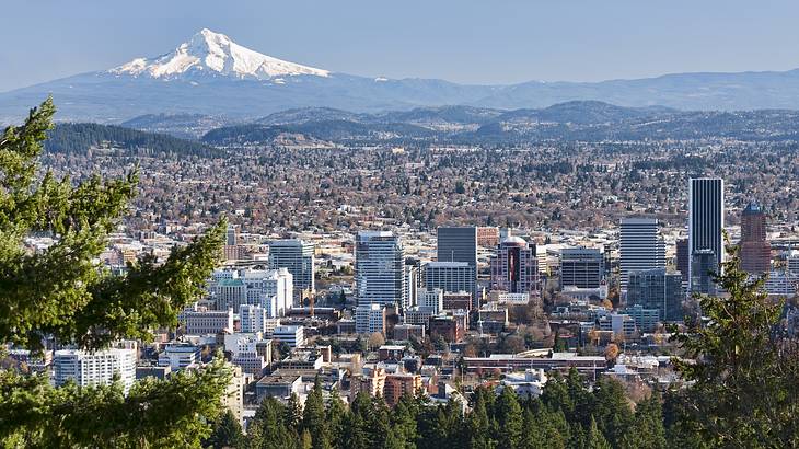 Aerial view of a cityscape of buildings, greenery, and a snow-capped mountain