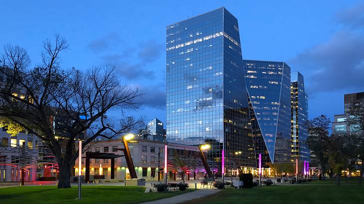 Giant skyscrapers in the evening blue sky and a tree surrounded by greenery