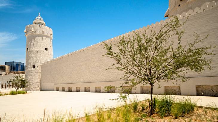 A white wide old structure under a clear blue sky with plants in the foreground