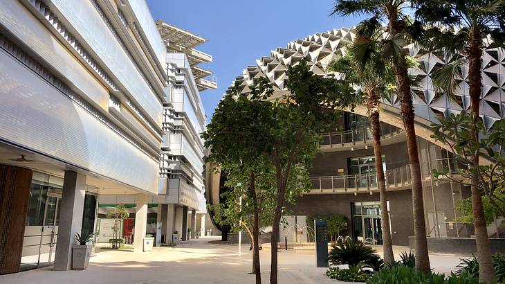 Buildings with tall date palm trees on one side under the clear blue sky