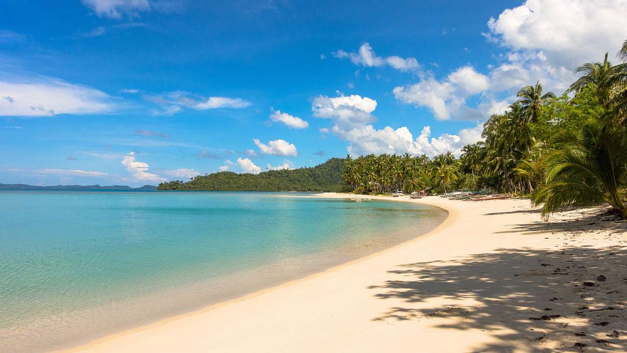 A sandy beach next to the ocean and green trees