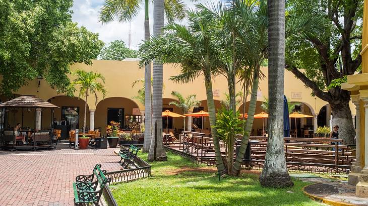 A brick path with benches next to grass, trees, and a restaurant patio