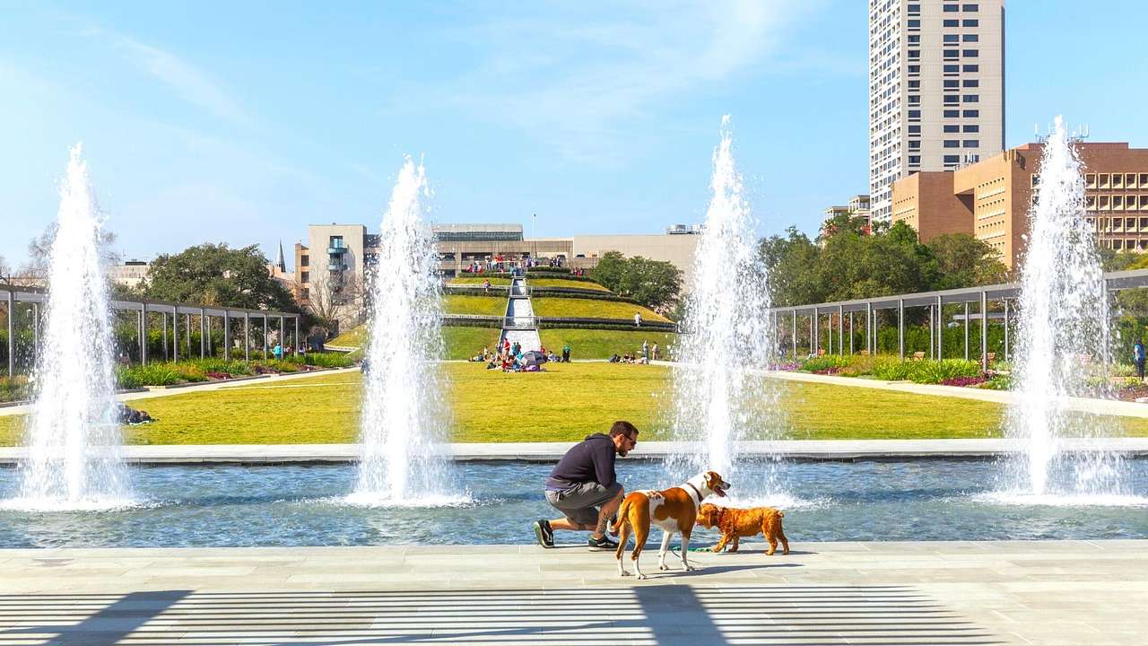 A park with a water feature, grass behind it, and a man and two dogs in front of it
