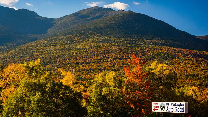 Looking up at a mountain covered in the foliage of autumn colors