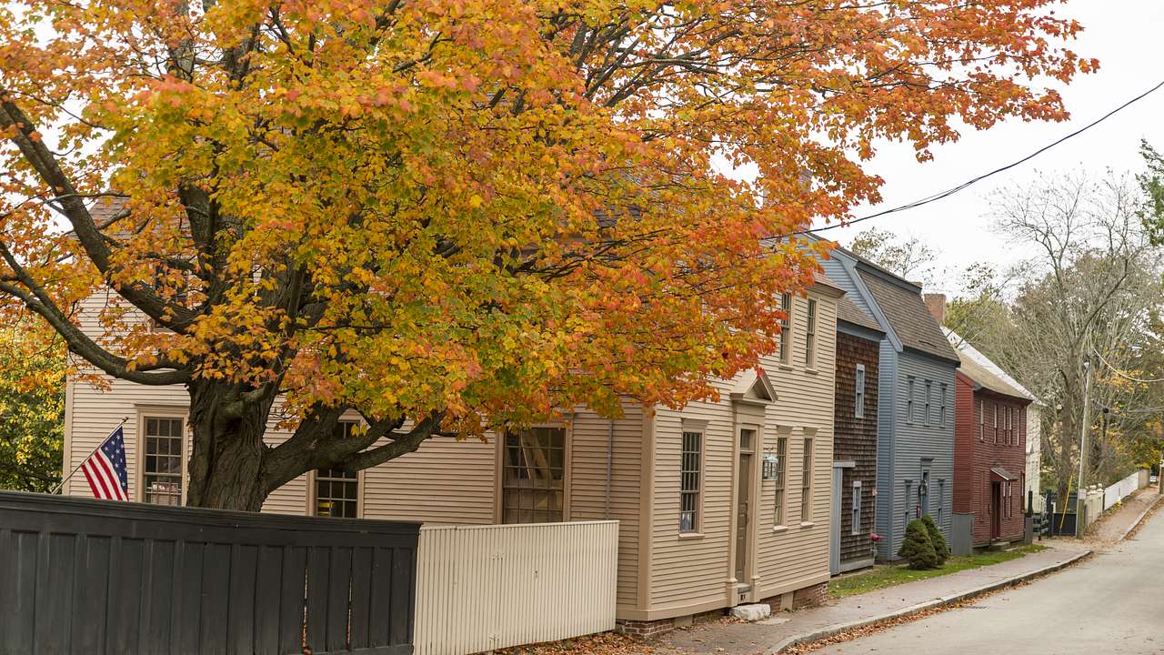 A large tree in autumn colors, on the side of a row of colorful wooden houses