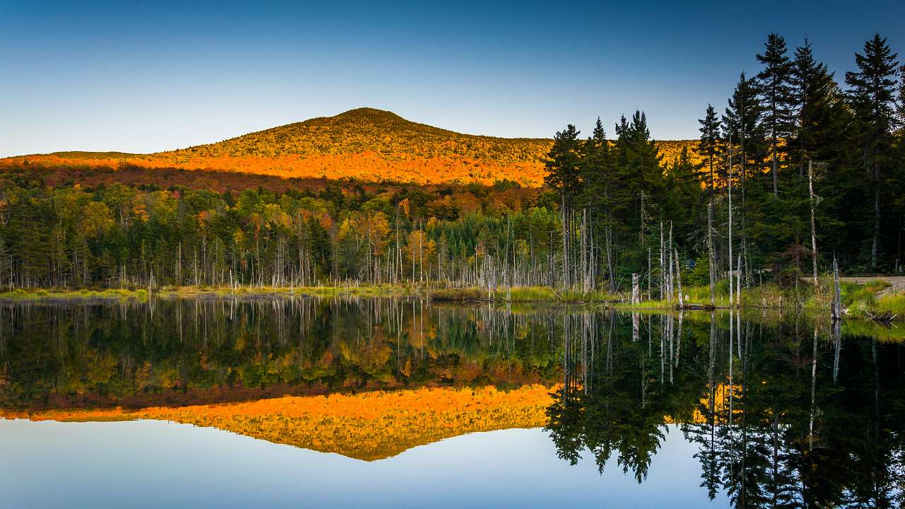A mountain in hues of orange and brown, with trees at its foot reflected over a lake