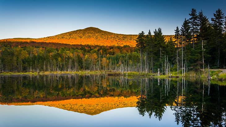 A mountain in hues of orange and brown, with trees at its foot reflected over a lake