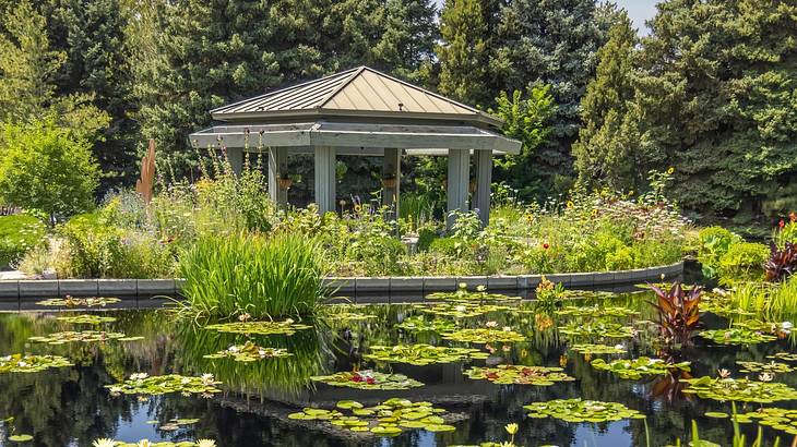 A garden gazebo-style structure with a pond and trees surrounding it