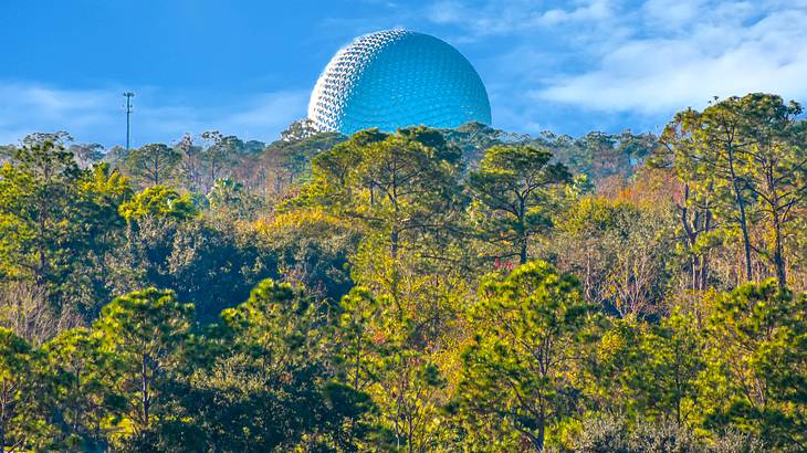 Trees and greenery in front of a dome-shaped building reflecting the sun's rays