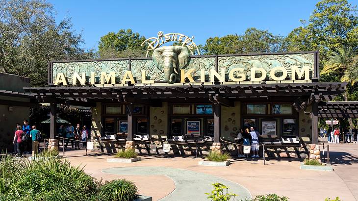 A building with an "Animal Kingdom" sign and a replica of an elephant's head