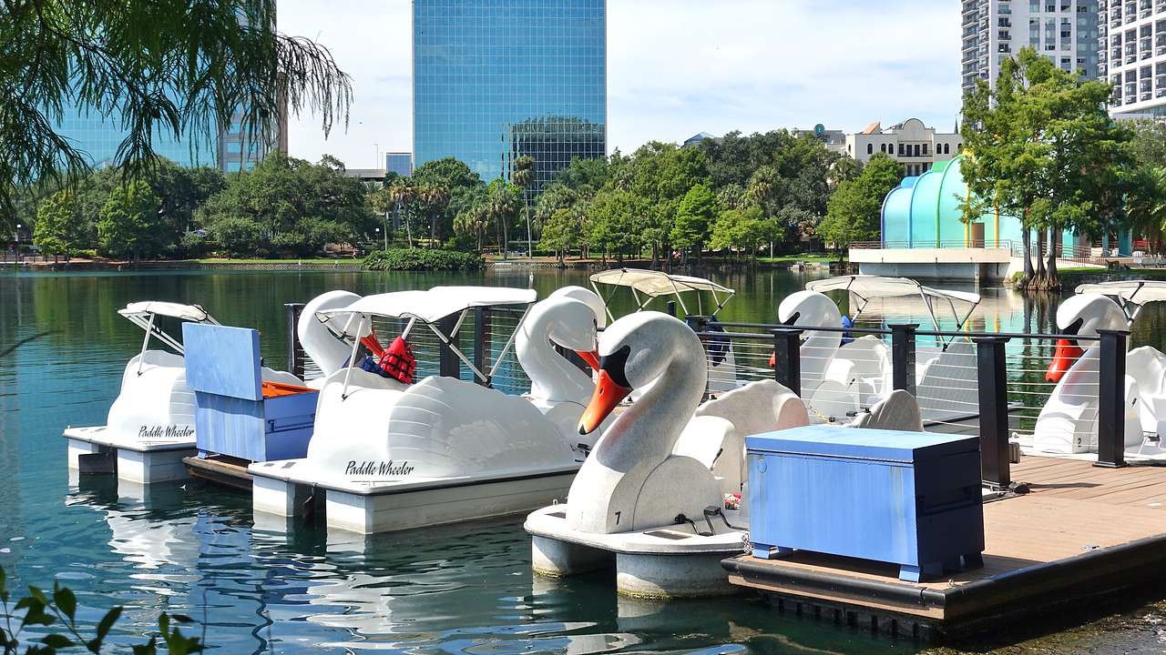 White swan boats on a body of water by a wooden dock, with trees and buildings behind