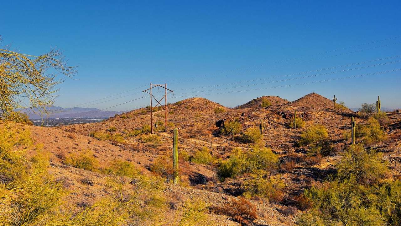 Rugged brown terrain with cactus trees, & a wooden electricity pole under a clear sky