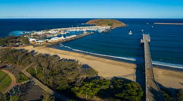 Aerial view of the marina and Jetty Beach in Coffs Harbour, NSW, Australia