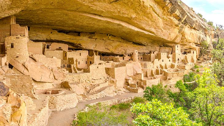 Ancient cliff dwelling surrounded by lush trees on a sunny day