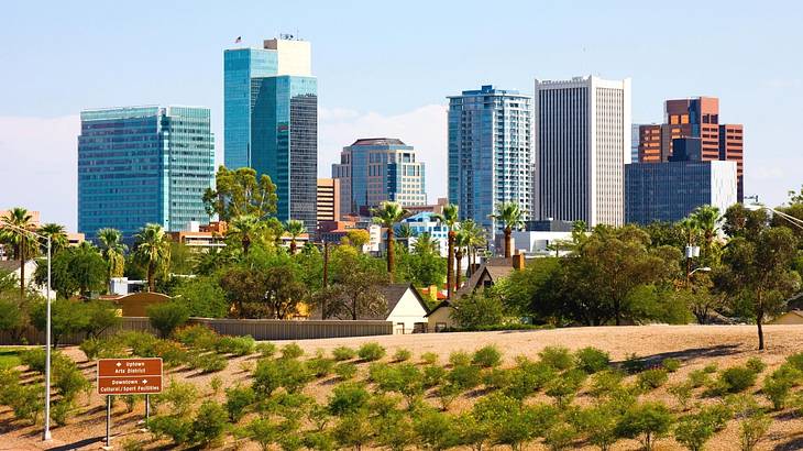 A city skyline with trees and green shrubs in front of it under a blue sky