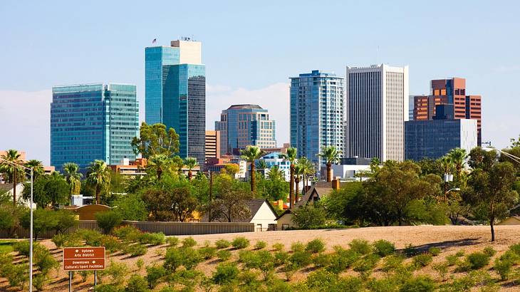 A city skyline with trees in front of it on a clear day