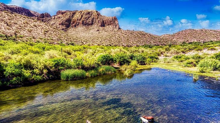 Water next to greenery and a rocky hill under a blue sky