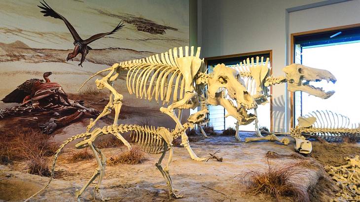 The skeletons of animals in a museum with a mural on the wall behind them