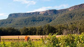 Green hilly landscape of Kangaroo Valley, NSW, Australia