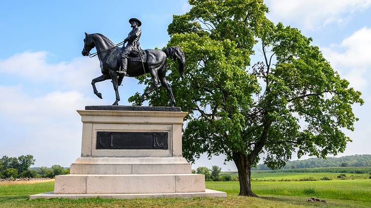 A statue of a man on a horse on the grass next to a green tree under a blue sky