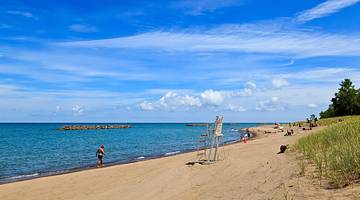 A sandy shore next to the ocean on one side and greenery on the other