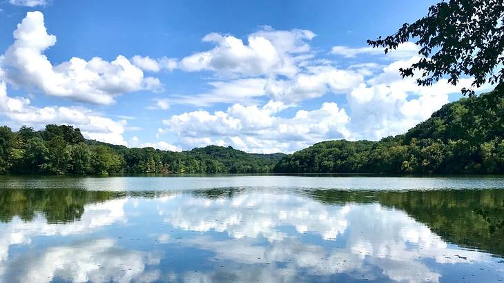 A lake with trees on the shore reflecting into the water under a blue sky with clouds