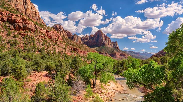 A river running through a canyon with trees and red rock mountains